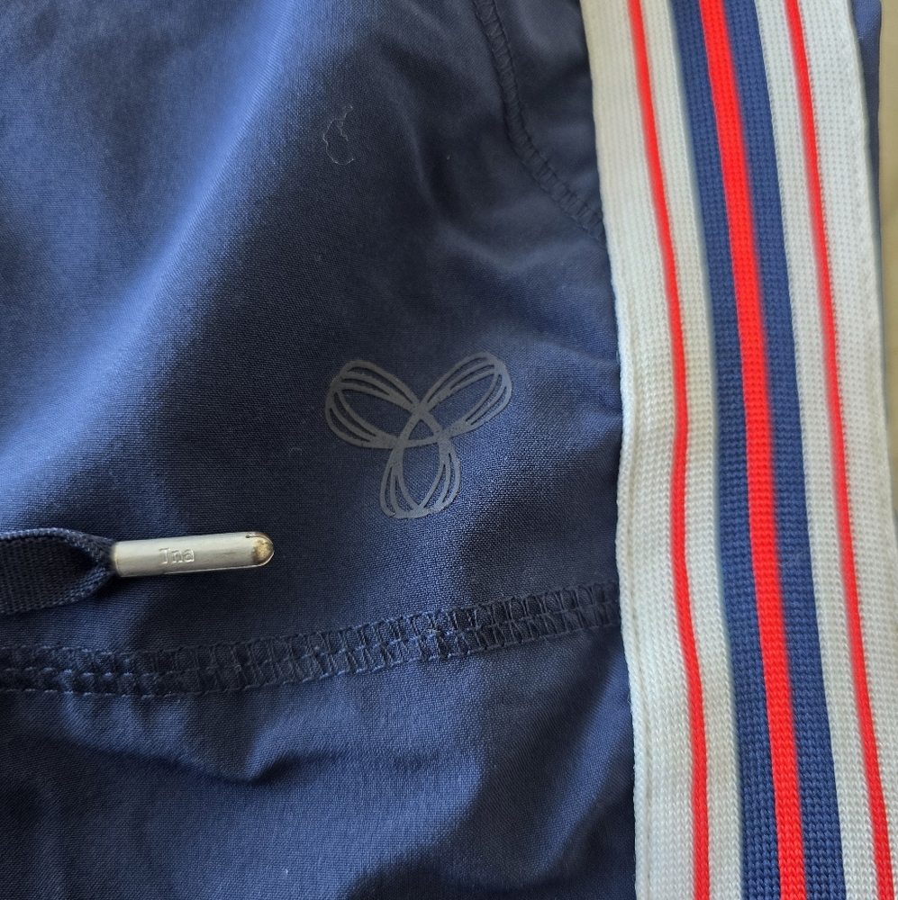 Aritzia TNA Navy Track Pants with Striped Sides - Picture 5 of 7